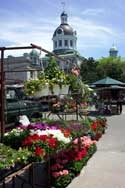 Market at Kingston City Hall